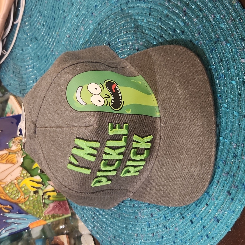 NWT Rick and Morty retro hat